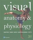 Visual Anatomy & Physiology