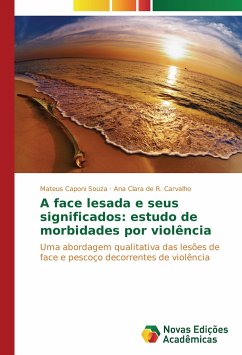A face lesada e seus significados: estudo de morbidades por violência