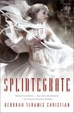 Splintegrate (eBook, ePUB)