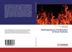 Heterogeneous Combustion of Dust Particles