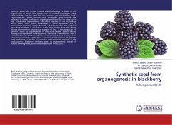 Synthetic seed from organogenesis in blackberry