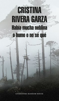 Había Mucha Neblina O Humo O No Sé Qué Caminar Con Juan Rulfo / There Was a Lot of Fog, or Smoke, or I'm Not Sure What: Walking with Juan Rulfo - Rivera Garza, Cristina