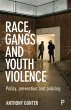 Race, gangs and youth violence - Bild 1