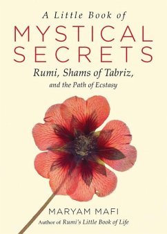 A Little Book of Mystical Secrets - Mafi, Maryam (Maryam Mafi)