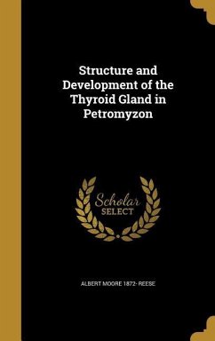 Structure and Development of the Thyroid Gland in Petromyzon - Reese, Albert Moore