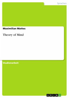 Theory of Mind (eBook, PDF) - Mattes, Maximilian