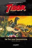 Tibor 5: Im Tal der Ungeheuer (eBook, ePUB)