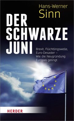 Der Schwarze Juni (eBook, ePUB) - Sinn, Hans-Werner