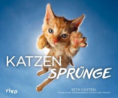 Katzensprünge (eBook, PDF) - Casteel, Seth