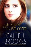 Shelter from the Storm (Finley Creek, #2) (eBook, ePUB)
