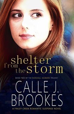 Cover Shelter from the Storm (Finley Creek, #2) (eBook, ePUB)