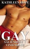 Gay: Saliéndose Y Viniéndose (eBook, ePUB)