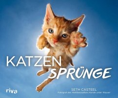 Katzensprünge - Casteel, Seth