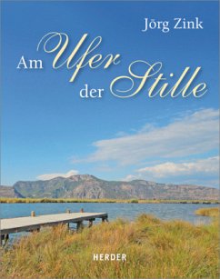 Am Ufer der Stille - Zink, Jörg