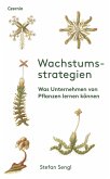 Wachstumsstrategien (eBook, ePUB)