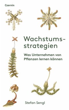 Wachstumsstrategien (eBook, ePUB) - Sengl, Stefan