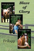 Blaze of Glory Trilogy Boxset (eBook, ePUB)