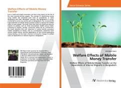 Welfare Effects of Mobile Money Transfer