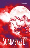 Sommerzeit (eBook, ePUB)