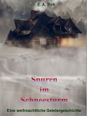 Spuren im Schneesturm (eBook, ePUB)