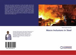 Macro Inclusions in Steel