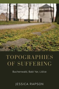 Topographies of Suffering - Rapson, Jessica