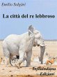 La città del re lebroso (eBook, ePUB) - Bild 1
