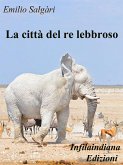 La città del re lebroso (eBook, ePUB)