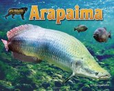 Arapaima