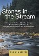 Stones in the Stream - Bild 1