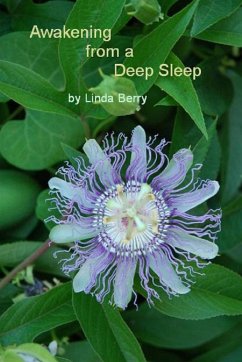 Awakening From A Deep Sleep - Berry, Linda