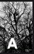 A - Bild 1