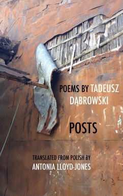 Posts - Dabrowski, Tadeusz