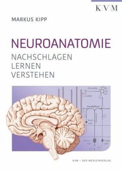 Neuroanatomie - Kipp, Markus; Radlanski, Kalinka