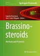 Brassinosteroids - Bild 1