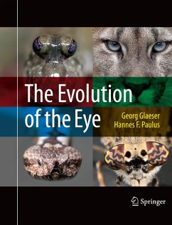 The Evolution of the Eye - Glaeser, Georg;Paulus, Hannes F.