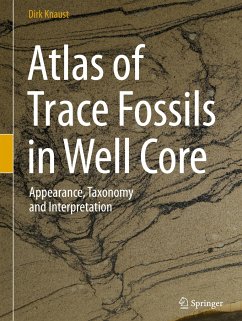 Atlas of Trace Fossils in Well Core - Knaust, Dirk