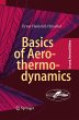 Basics of Aerothermodynamics - Bild 1