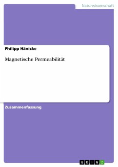 Magnetische Permeabilität (eBook, PDF)