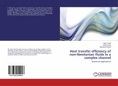 Heat transfer efficiency of non-Newtonian fluids in a complex channel