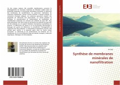 Synthèse de membranes minérales de nanofiltration - Said, Ali