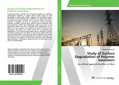 Study of Surface Degradation of Polymer Insulators - Ganapathy, Adarsh