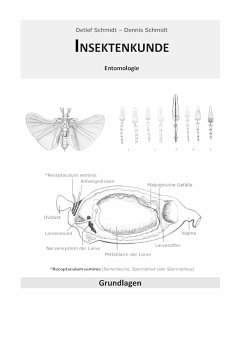 Insektenkunde