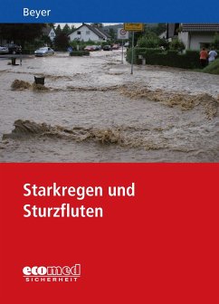 Starkregen und Sturzfluten - Beyer, Ralf