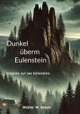 Dunkel überm Eulenstein (eBook, ePUB)