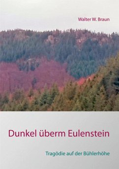 Dunkel überm Eulenstein (eBook, ePUB)