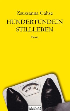 Hundertundein Stillleben (eBook, ePUB) - Gahse, Zsuzsanna