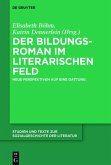 Der Bildungsroman im literarischen Feld (eBook, PDF)