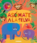 Asómate a la Selva