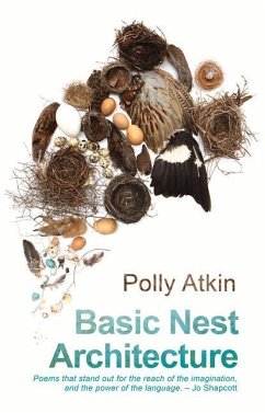 Basic Nest Architecture - Atkin, Polly